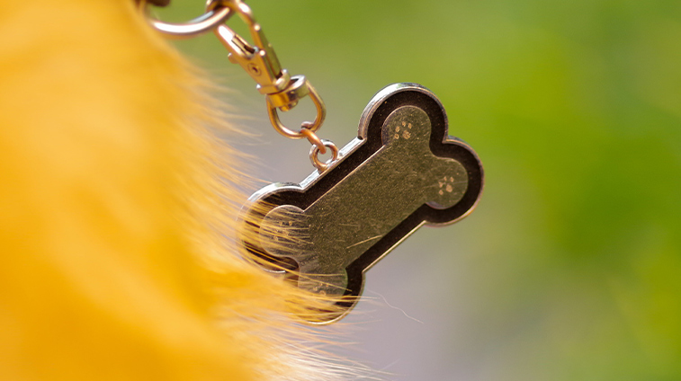 Medagliette pe cani personalizzate