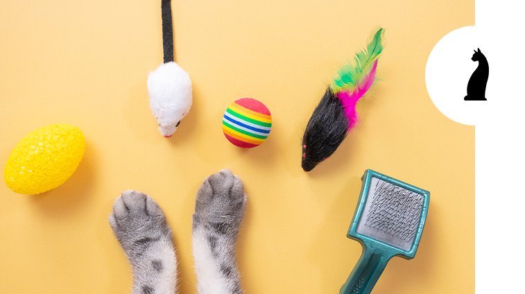 Accessori per gatti elenco