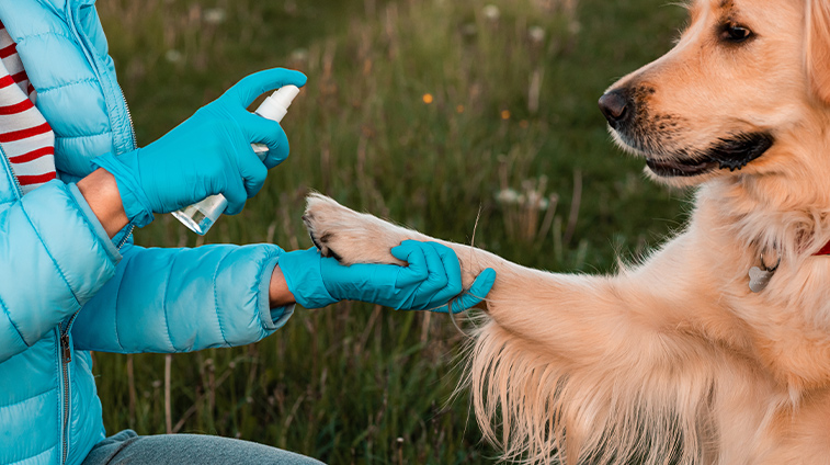 Prodotti igiene cura del cane