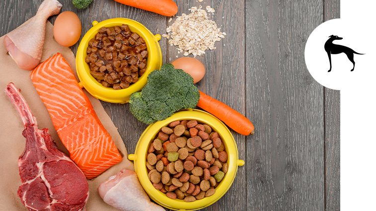 Cattiva digestione nel cane sintomi rimedi Cattiva digestione nel cane sintomi rimedi
